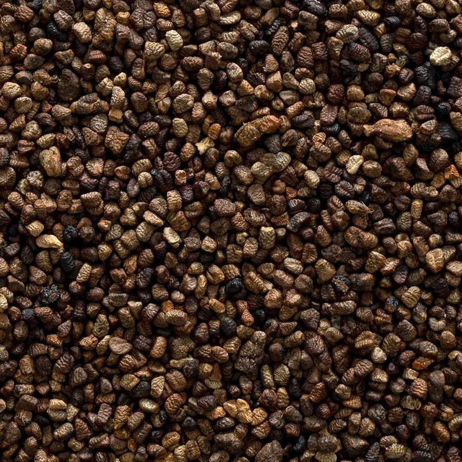 Frontier Co-op Cardamom Seed, Whole 1 lb.