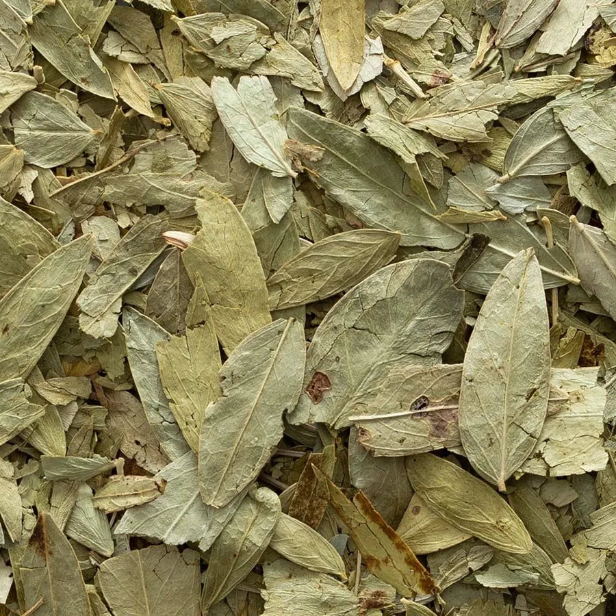 Frontier Co-op Senna Leaf, Whole 1 lb.