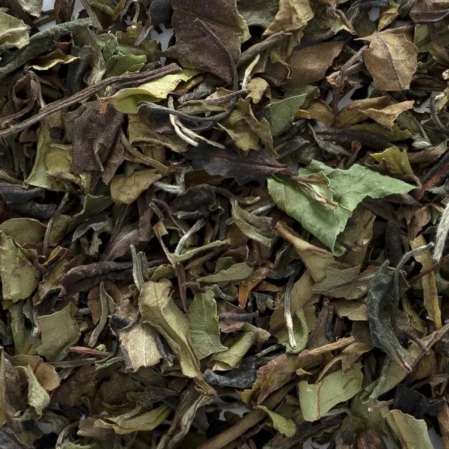 Frontier Co-op White Peony Tea, Organic 1 lb.